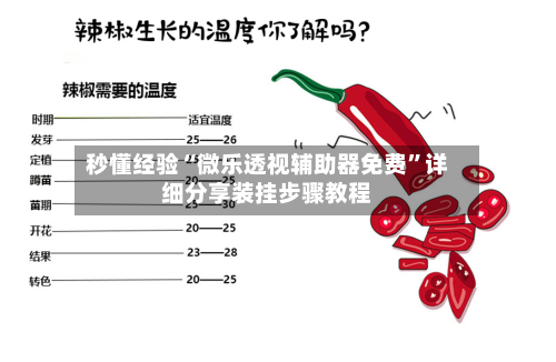 秒懂经验“微乐透视辅助器免费”详细分享装挂步骤教程-第2张图片