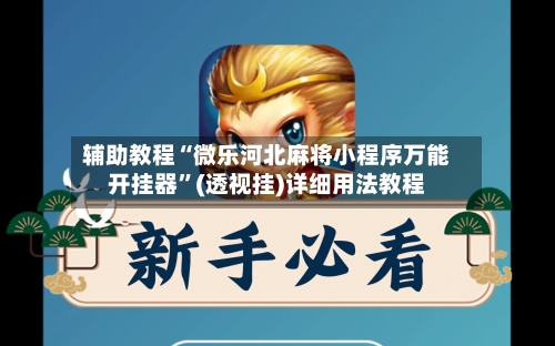 辅助教程“微乐河北麻将小程序万能开挂器	”(透视挂)详细用法教程-第2张图片