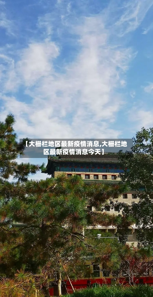 【大栅栏地区最新疫情消息,大栅栏地区最新疫情消息今天】-第2张图片