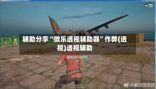 辅助分享“微乐透视辅助器”作弊(透视)透视辅助-第2张图片