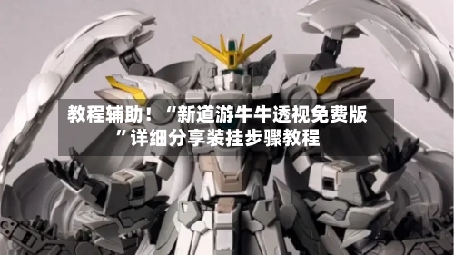 教程辅助！“新道游牛牛透视免费版	”详细分享装挂步骤教程-第2张图片