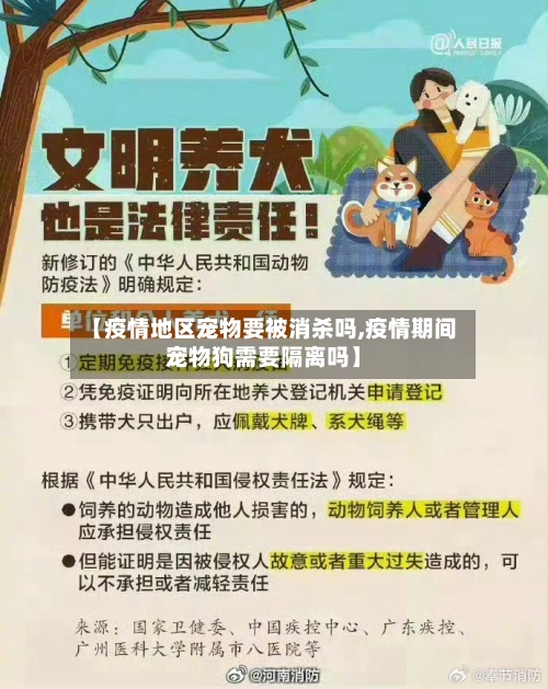 【疫情地区宠物要被消杀吗,疫情期间宠物狗需要隔离吗】
