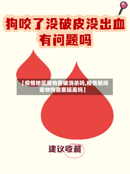 【疫情地区宠物要被消杀吗,疫情期间宠物狗需要隔离吗】-第2张图片