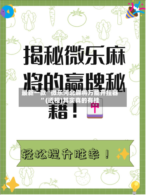 最新一款“微乐河北麻将万能开挂器”(透视)其实真的有挂