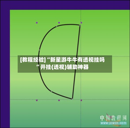 [教程经验]“新星游牛牛有透视挂吗	”开挂(透视)辅助神器-第2张图片