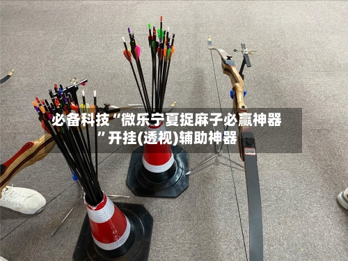 必备科技“微乐宁夏捉麻子必赢神器”开挂(透视)辅助神器-第3张图片