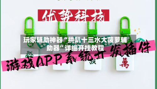 玩家辅助神器“拱趴十三水大菠萝辅助器”详细开挂教程