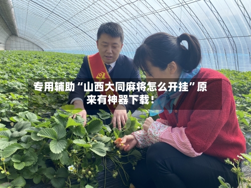 专用辅助“山西大同麻将怎么开挂”原来有神器下载！