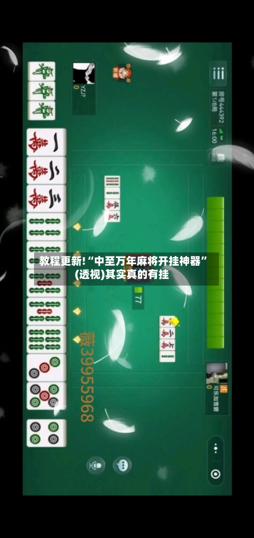 教程更新!“中至万年麻将开挂神器”(透视)其实真的有挂