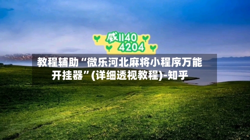 教程辅助“微乐河北麻将小程序万能开挂器”(详细透视教程)-知乎-第2张图片