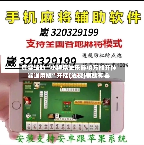 真实辅助“小程序微乐麻将万能开挂器通用版”开挂(透视)辅助神器-第3张图片