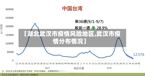 【湖北武汉市疫情风险地区,武汉市疫情分布情况】-第3张图片