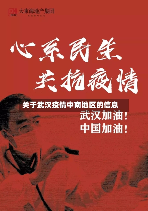 关于武汉疫情中南地区的信息-第2张图片