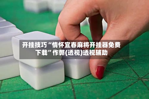 开挂技巧“情怀宜春麻将开挂器免费下载”作弊(透视)透视辅助-第3张图片