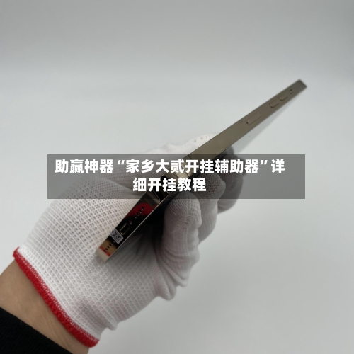 助赢神器“家乡大贰开挂辅助器”详细开挂教程-第2张图片