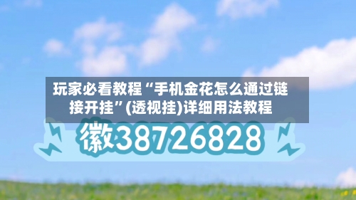 玩家必看教程“手机金花怎么通过链接开挂”(透视挂)详细用法教程-第2张图片