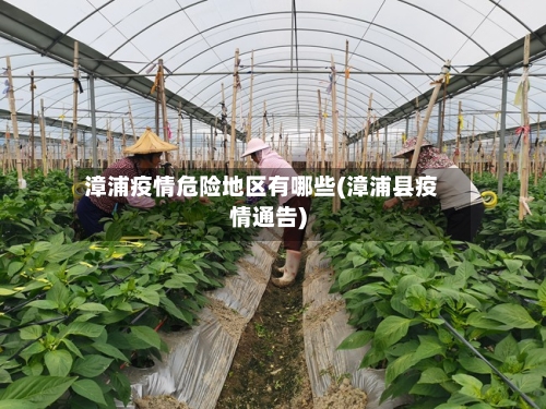 漳浦疫情危险地区有哪些(漳浦县疫情通告)