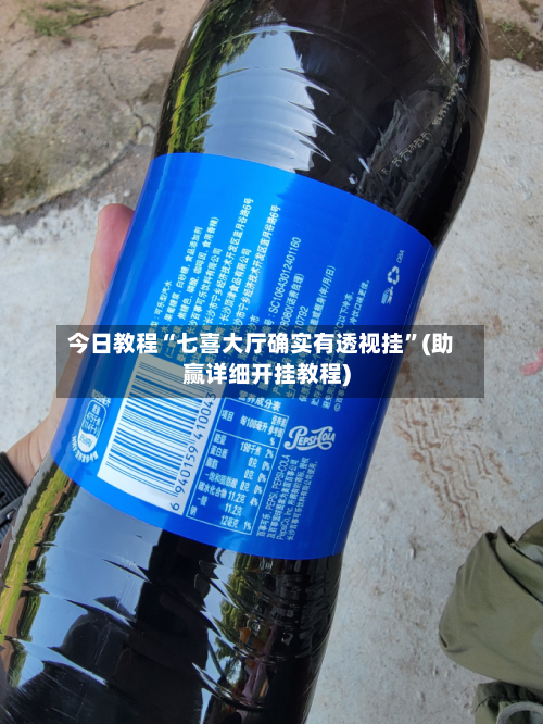 今日教程“七喜大厅确实有透视挂	”(助赢详细开挂教程)-第3张图片