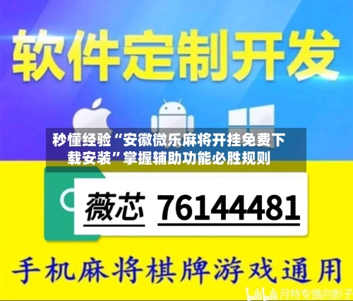 秒懂经验“安徽微乐麻将开挂免费下载安装”掌握辅助功能必胜规则-第3张图片
