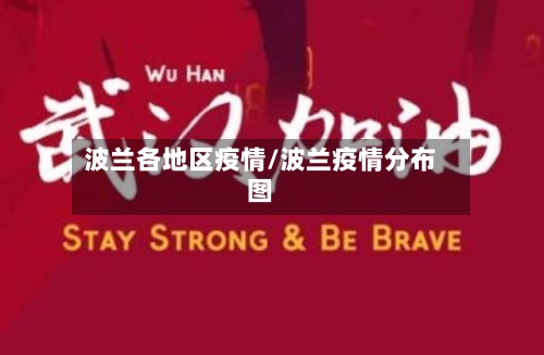 波兰各地区疫情/波兰疫情分布图-第2张图片