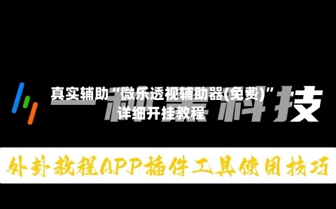 真实辅助“微乐透视辅助器(免费)”详细开挂教程