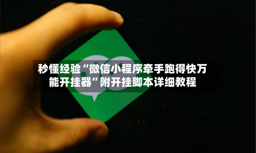 秒懂经验“微信小程序牵手跑得快万能开挂器”附开挂脚本详细教程-第3张图片
