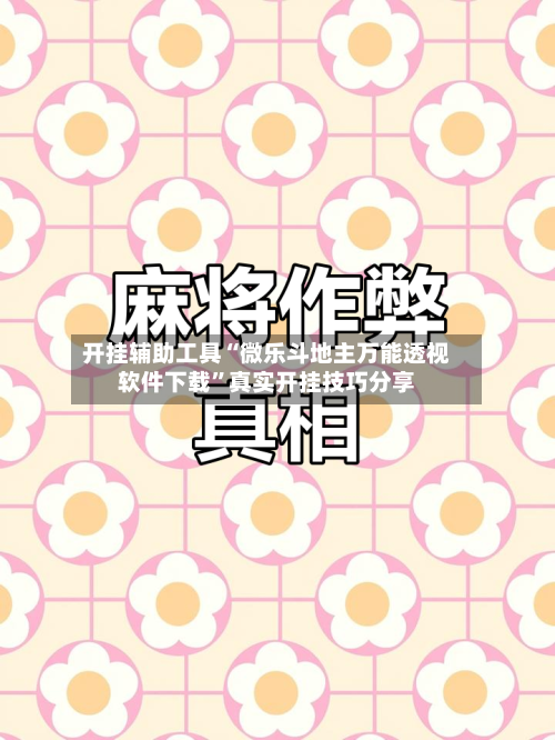 开挂辅助工具“微乐斗地主万能透视软件下载”真实开挂技巧分享-第3张图片