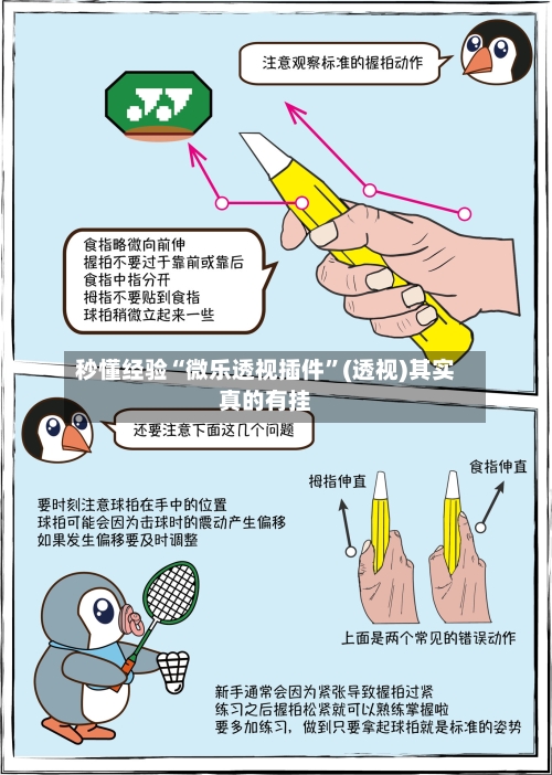 秒懂经验“微乐透视插件”(透视)其实真的有挂