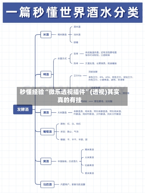 秒懂经验“微乐透视插件”(透视)其实真的有挂-第2张图片