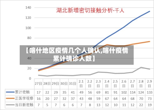 【喀什地区疫情几个人确认,喀什疫情累计确诊人数】-第2张图片