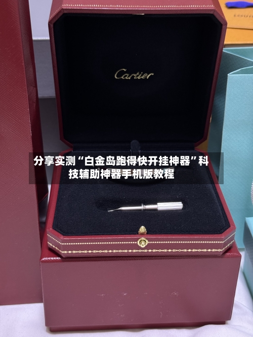 分享实测“白金岛跑得快开挂神器”科技辅助神器手机版教程-第3张图片