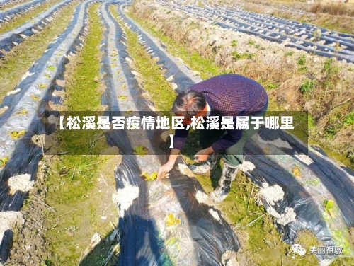 【松溪是否疫情地区,松溪是属于哪里】-第2张图片