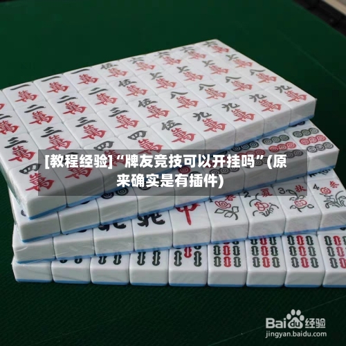 [教程经验]“牌友竞技可以开挂吗”(原来确实是有插件)