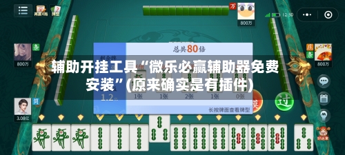 辅助开挂工具“微乐必赢辅助器免费安装”(原来确实是有插件)-第3张图片