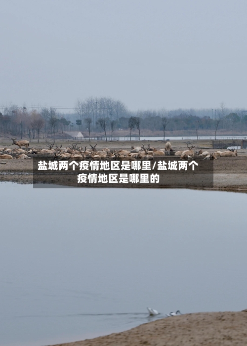 盐城两个疫情地区是哪里/盐城两个疫情地区是哪里的