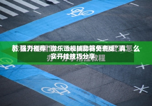 强力推荐“微乐透视辅助器免费版	”真实开挂技巧分享-第2张图片