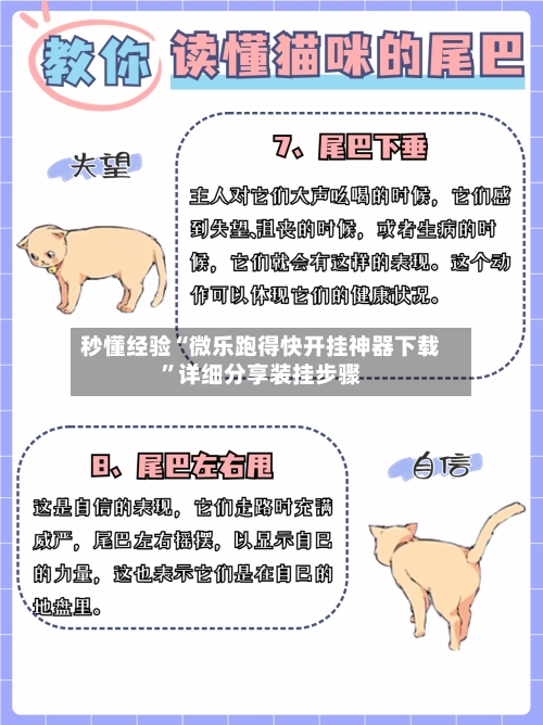秒懂经验“微乐跑得快开挂神器下载”详细分享装挂步骤
