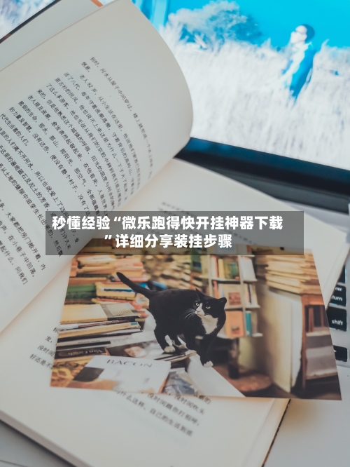 秒懂经验“微乐跑得快开挂神器下载”详细分享装挂步骤-第2张图片