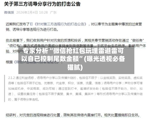 专家分析“微信抢红包玩埋雷避雷可以自已控制尾数金额	”(曝光透视必备猫腻)-第2张图片