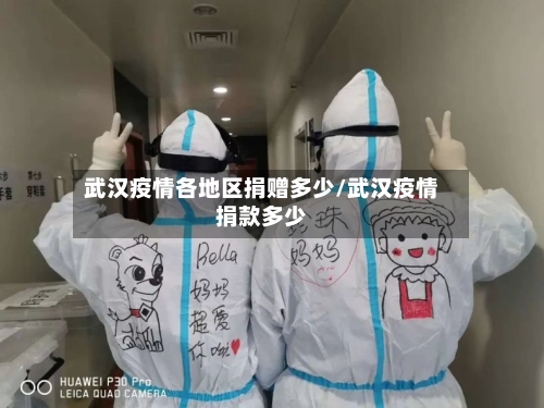 武汉疫情各地区捐赠多少/武汉疫情捐款多少-第3张图片