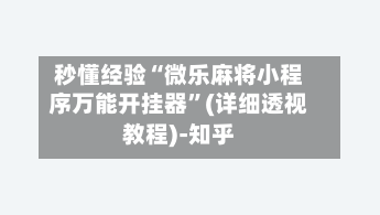 秒懂经验“微乐麻将小程序万能开挂器”(详细透视教程)-知乎