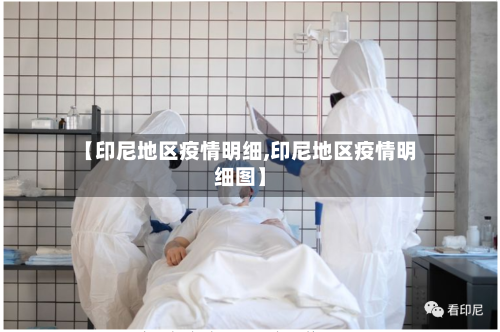 【印尼地区疫情明细,印尼地区疫情明细图】