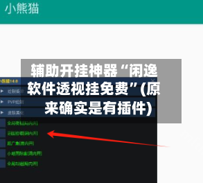 辅助开挂神器“闲逸软件透视挂免费”(原来确实是有插件)-第3张图片