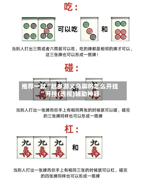 推荐一款“越乡游义乌麻将怎么开挂”开挂(透视)辅助神器-第3张图片
