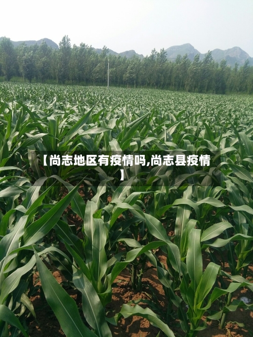 【尚志地区有疫情吗,尚志县疫情】-第2张图片
