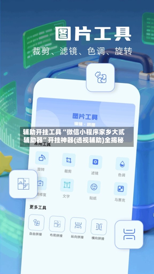 辅助开挂工具“微信小程序家乡大贰辅助器”开挂神器{透视辅助}全揭秘-第2张图片