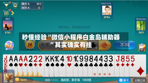 秒懂经验“微信小程序白金岛辅助器”其实确实有挂