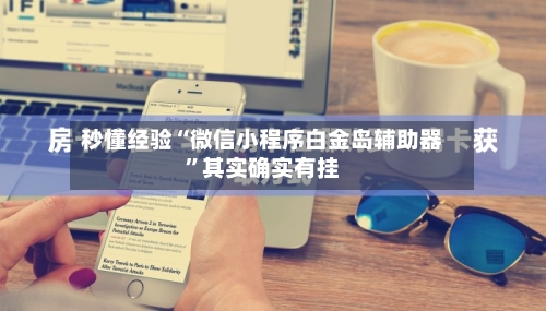 秒懂经验“微信小程序白金岛辅助器	”其实确实有挂-第2张图片