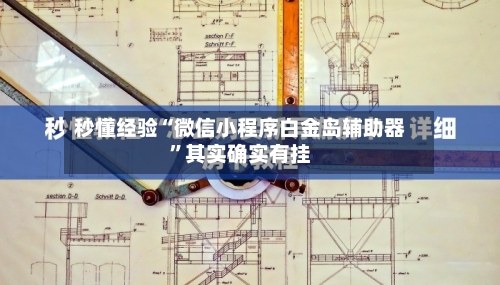 秒懂经验“微信小程序白金岛辅助器”其实确实有挂-第3张图片