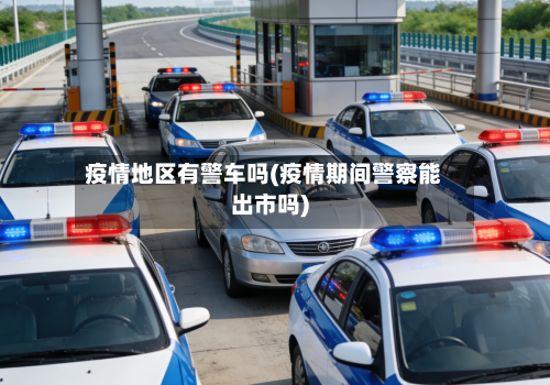 疫情地区有警车吗(疫情期间警察能出市吗)-第2张图片